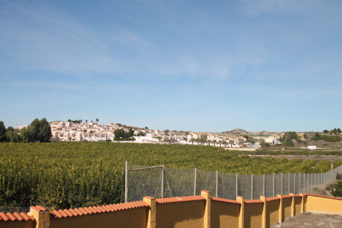39-IMG_3533