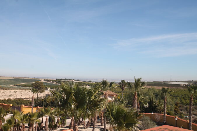 40-IMG_3545