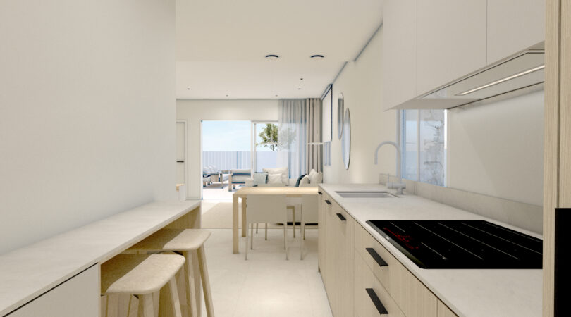 DESDE COCINA HACIA SALON