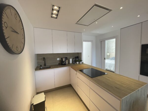 SUPER TOP FLOOR APART LLANA BEACH (75)